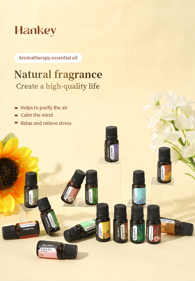 Reed Diffuser Set - 12 Flavors Set / Water-soluble Aromatherapy
