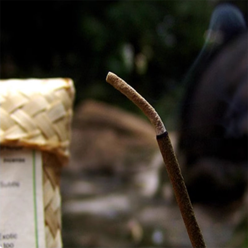 Log Plants Incense Sticks Mult - Home Fragrance Gift Box recensione e prezzo