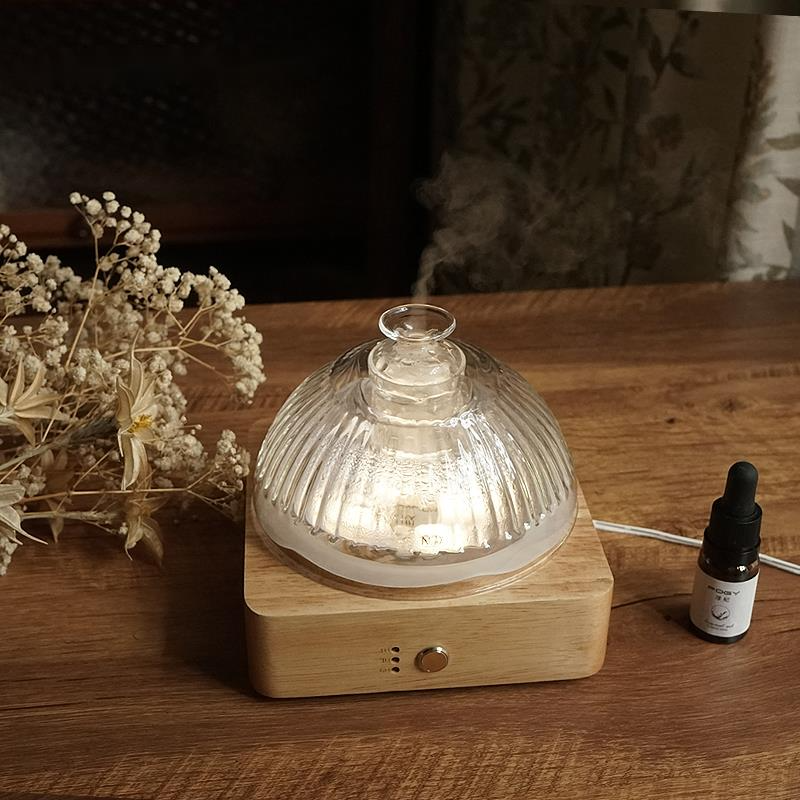 FOGY European solid wood aroma - Home Fragrance Jasmine Diffuser recensione e prezzo