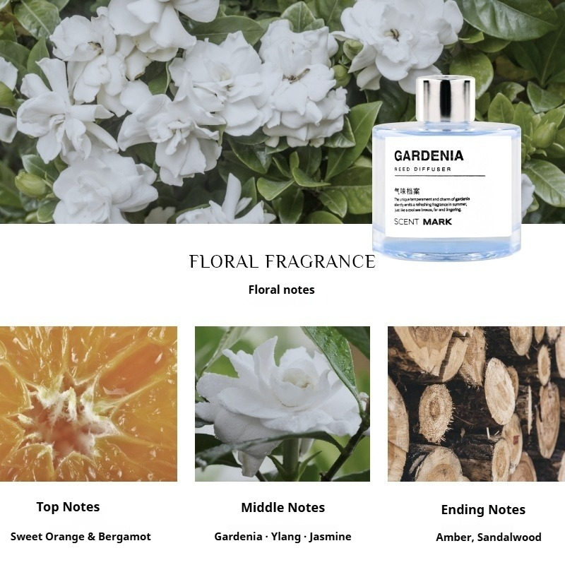 50ml Reed Diffuser Sets Rose L - Home Fragrance Jasmine Diffuser recensione e prezzo