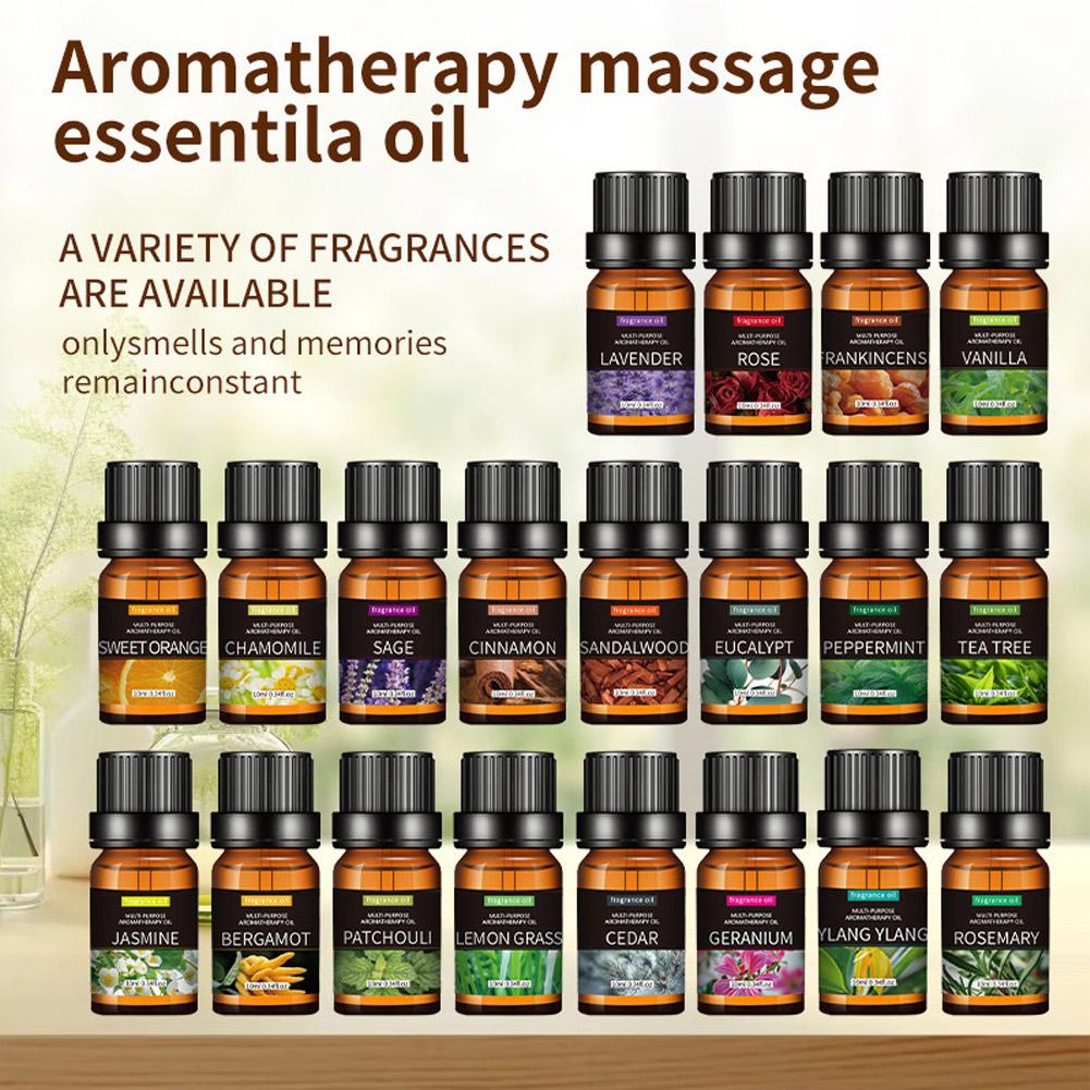 10mL Aromatherapy Essential Oi - Home Fragrance Eucalyptus recensione e prezzo