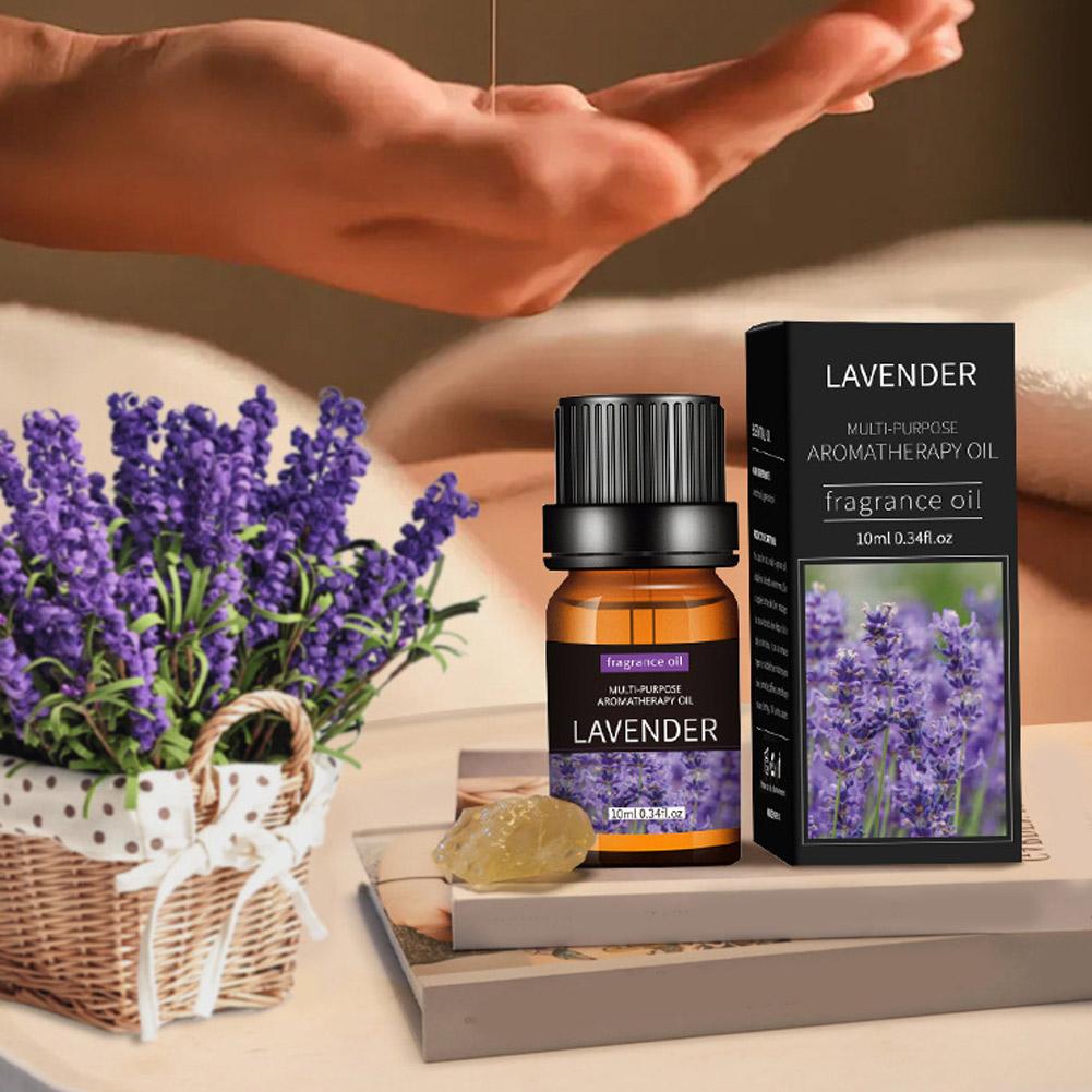 10mL Aromatherapy Essential Oi - Home Fragrance Eucalyptus recensione e prezzo