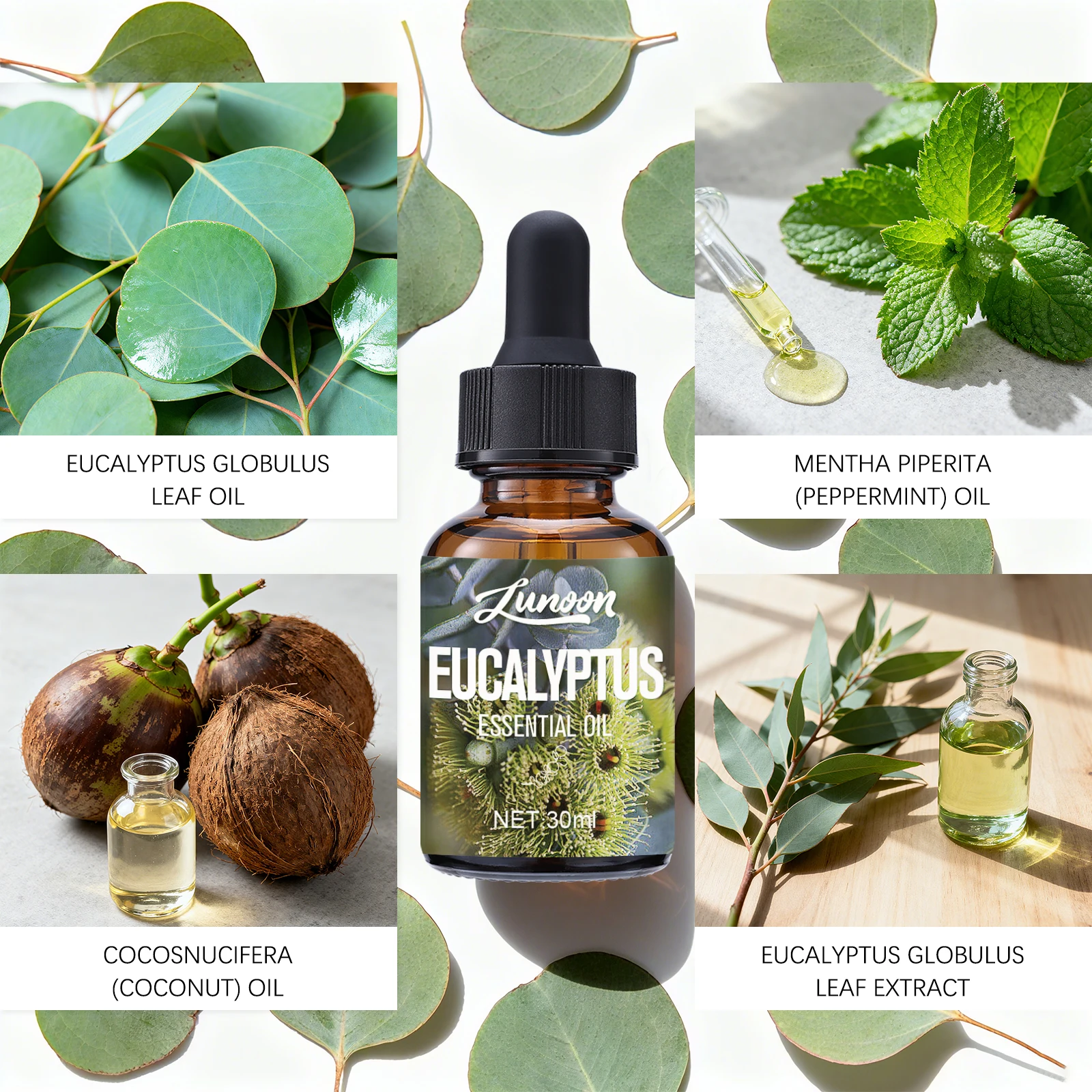Eucalyptus Essential Oil 30ml, - Home Fragrance Eucalyptus recensione e prezzo