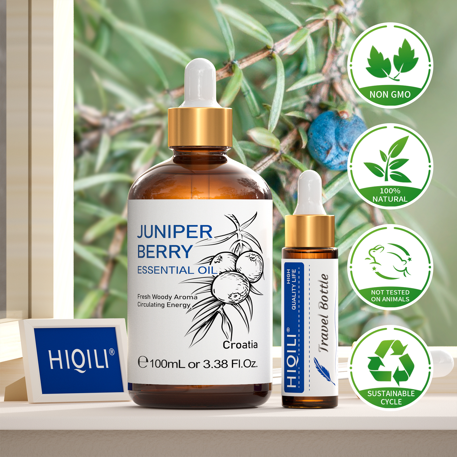 HIQILI 100ml Essential Oil, 10 - Home Fragrance Units recensione e prezzo