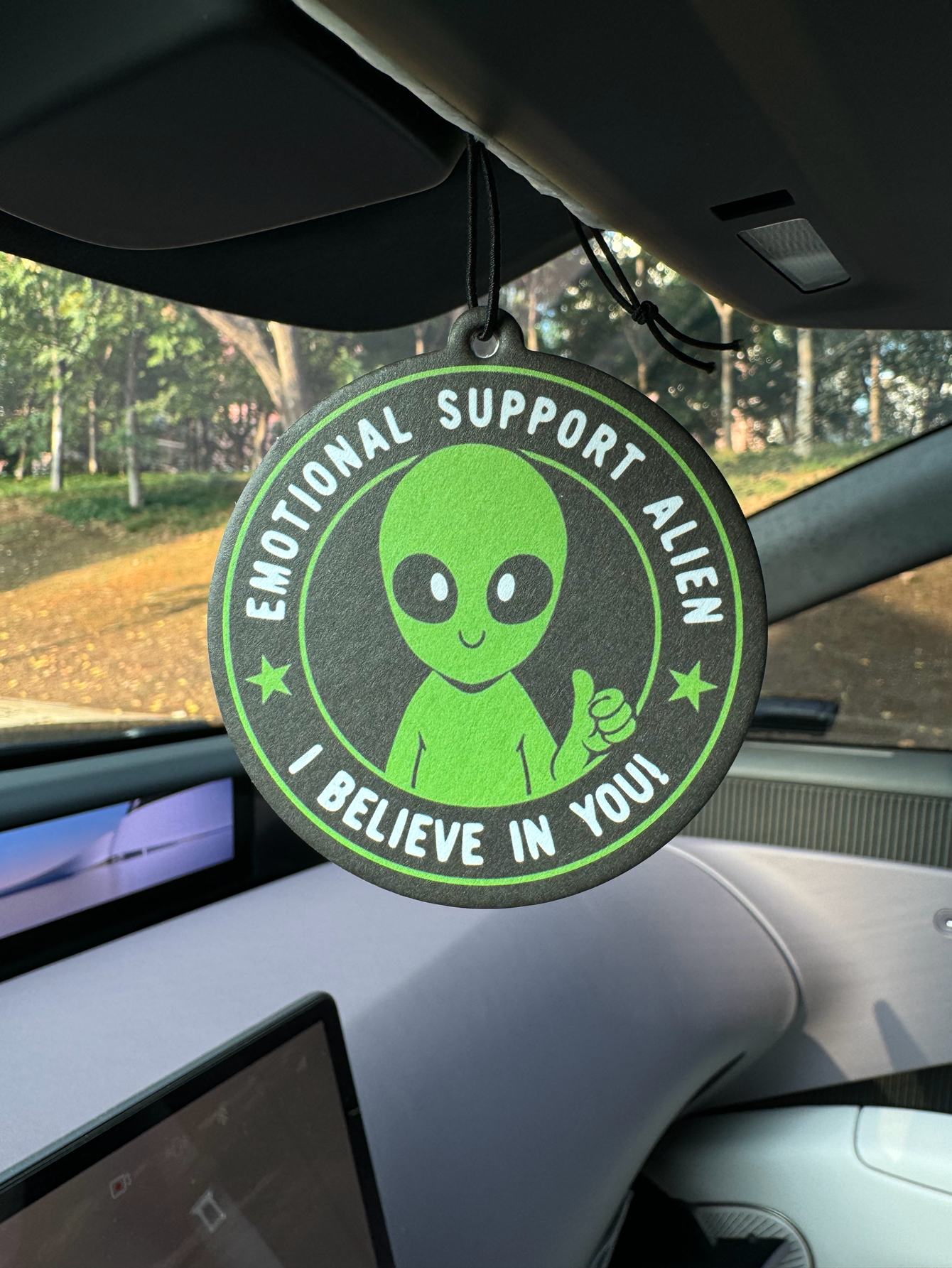 Emotional Support Alien Alien  - Home Fragrance Use recensione e prezzo