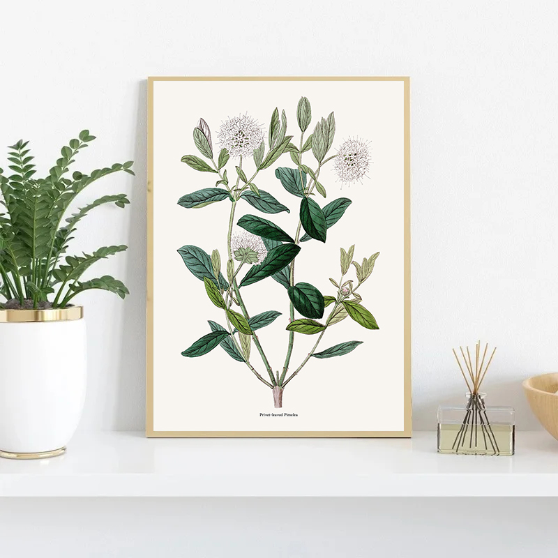 Vintage Botanical Flowers Post - Home Fragrance Jasmine recensione e prezzo