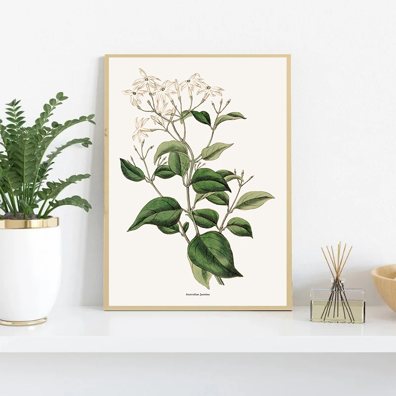 Vintage Botanical Flowers Post - Home Fragrance Jasmine recensione e prezzo