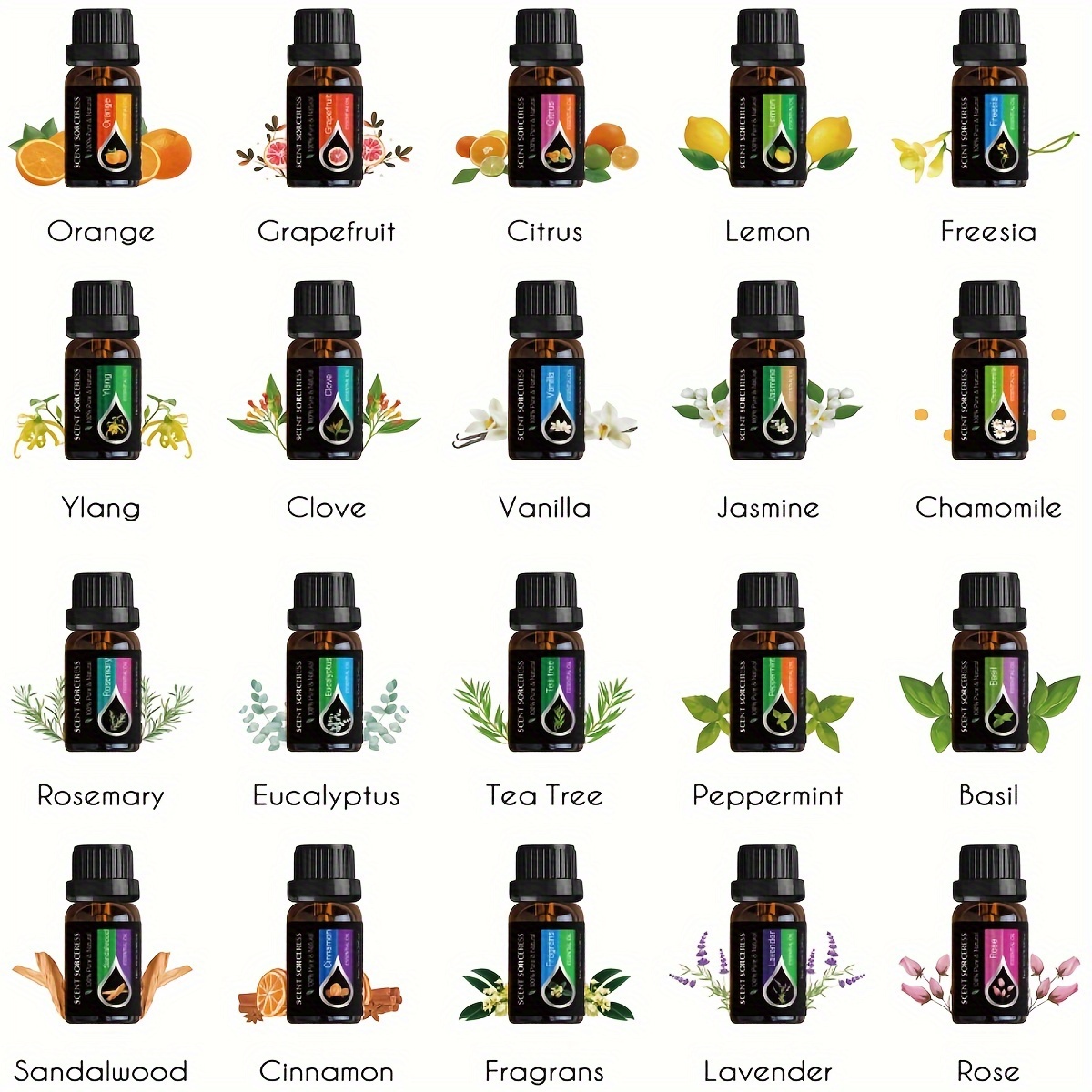 20Pcs/Set Classic Brand Essent - Home Fragrance Eucalyptus recensione e prezzo