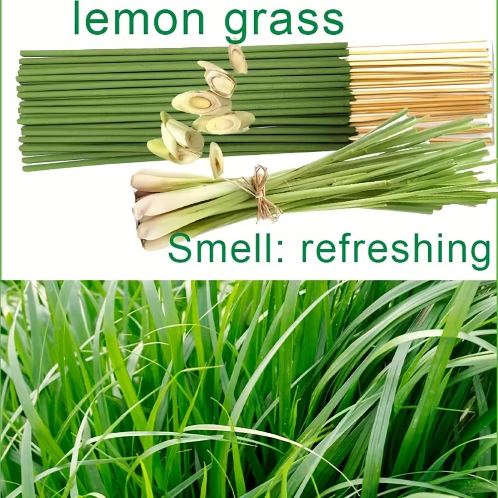 11/67/137 Pieces, Handmade Lem - Home Fragrance Lemongrass recensione e prezzo