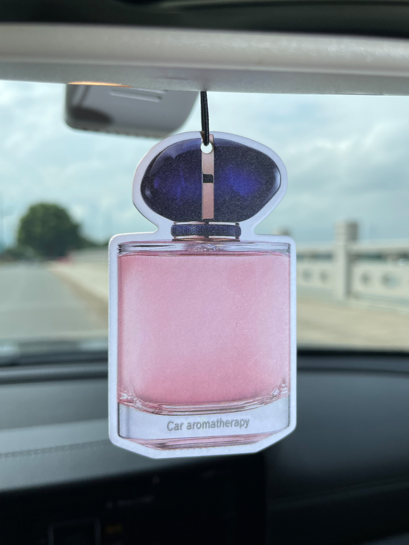 Bottle/Freesia Fresh Scent Fiv - Home Fragrance Jar recensione e prezzo