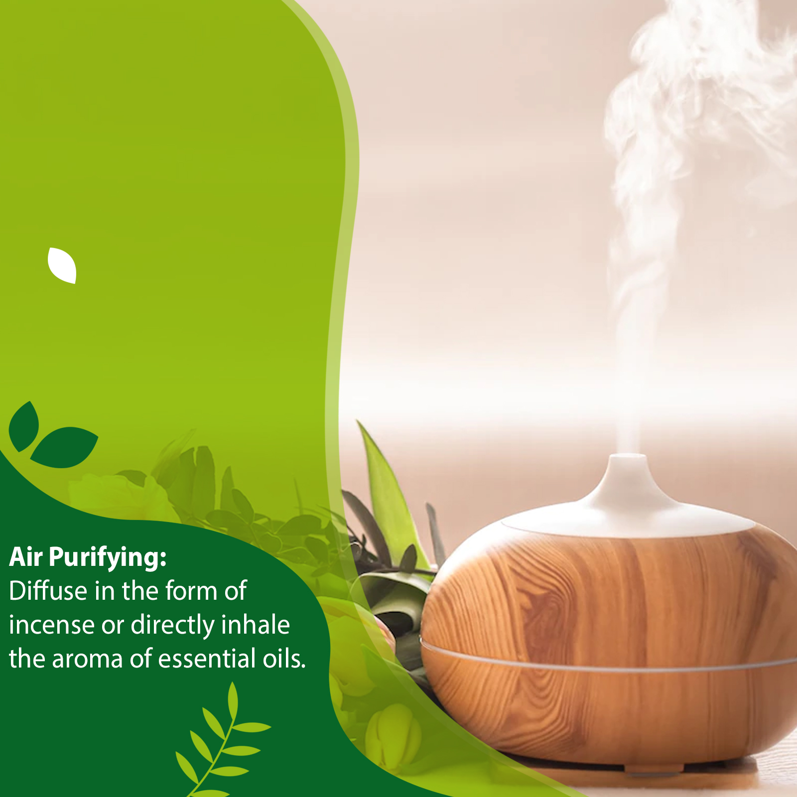 PHATOIL 1000ml Natural Aromath - Home Fragrance Eucalyptus recensione e prezzo