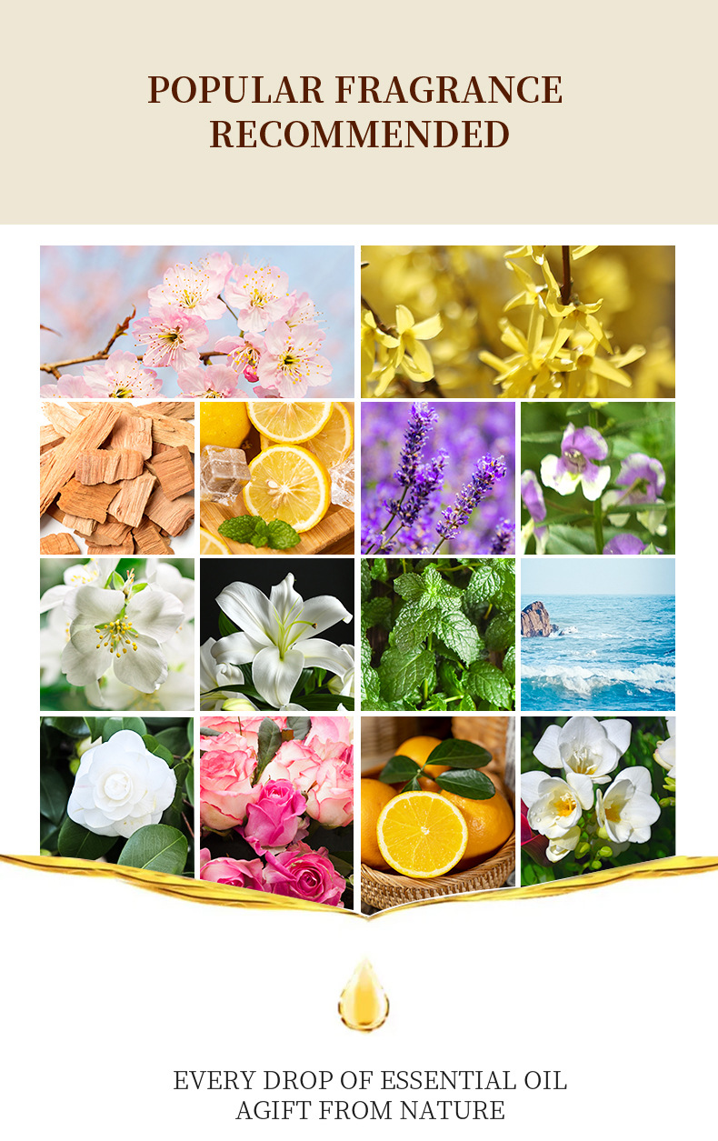 12 Flavors Set / Water-soluble - Reed Diffuser Set recensione e prezzo