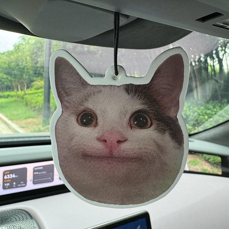 Sad Cat Emoticon Pack Hilton ( - Home Fragrance Luxury recensione e prezzo