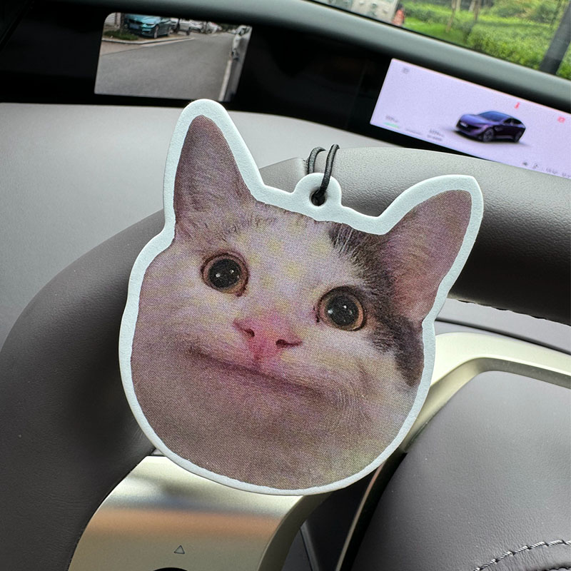 Sad Cat Emoticon Pack Hilton ( - Home Fragrance Luxury recensione e prezzo